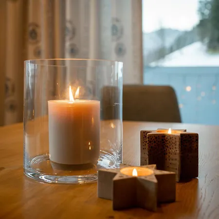 农家乐 菲林霍夫奥内加特公寓 埃本因蓬高