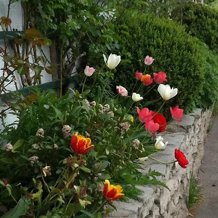 Vakantieboerderij Ortnergut Eben Im Pongau