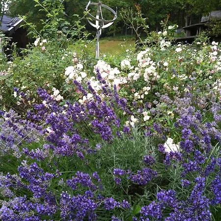 Vakantieboerderij Ortnergut