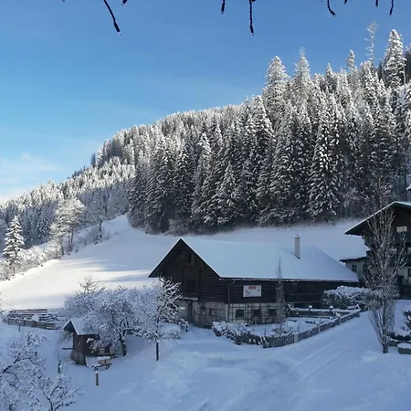 Bauernhof Ortnergut Eben Im Pongau