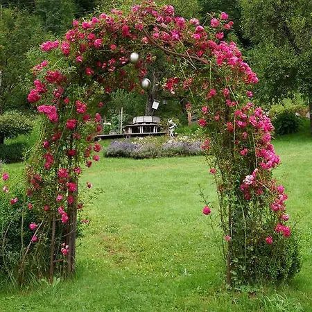 农家乐 菲林霍夫奥内加特公寓 埃本因蓬高