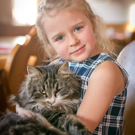 菲林霍夫奥内加特公寓 农家乐