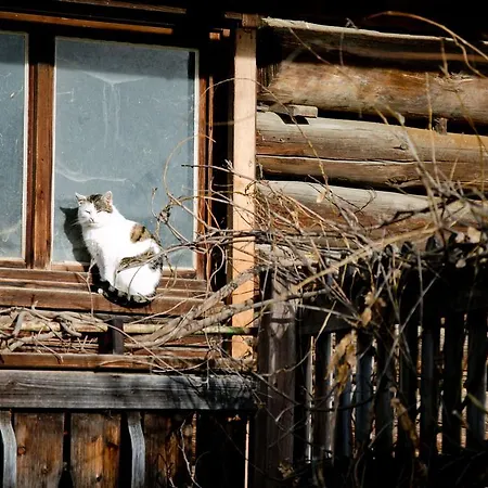 菲林霍夫奥内加特公寓 埃本因蓬高