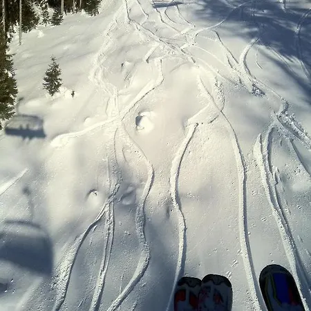 Vakantieboerderij Ortnergut Eben Im Pongau